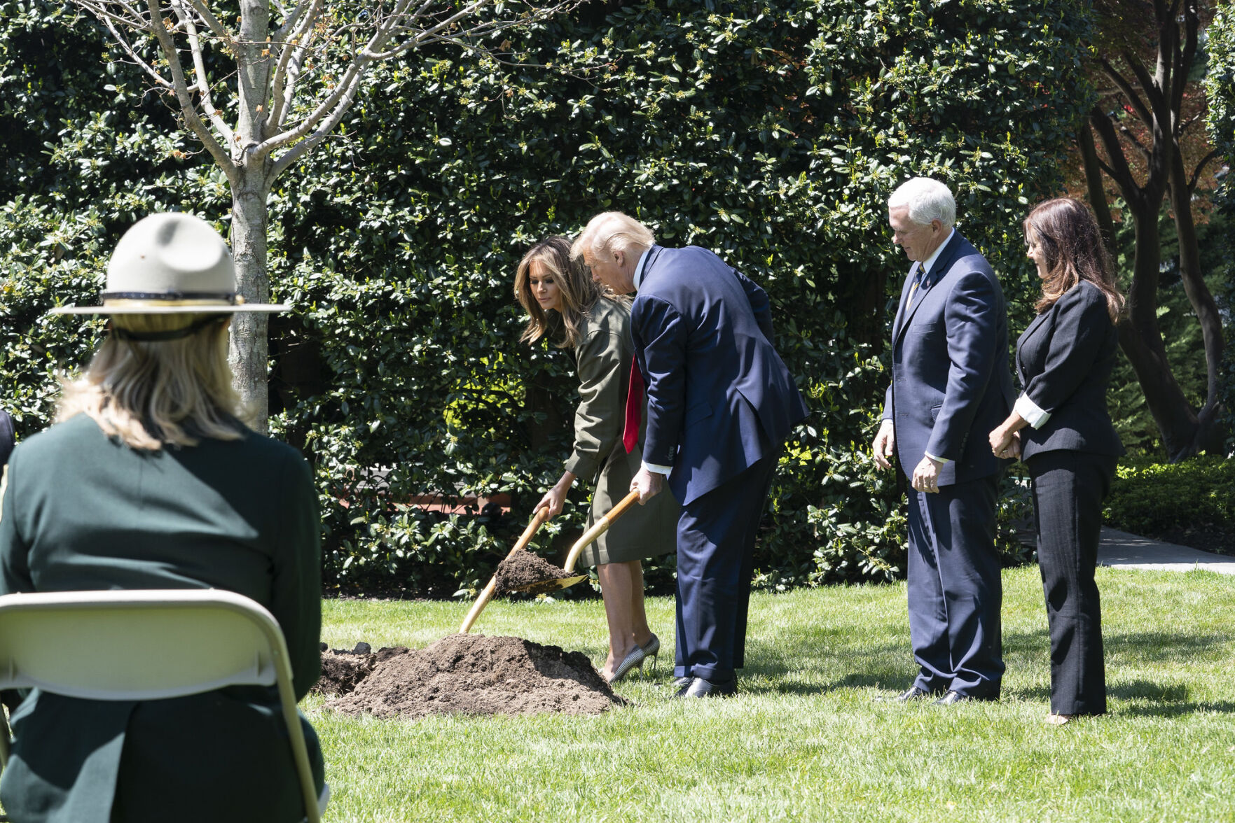 Trumps & Trees Pot1016